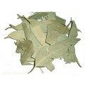 сушёный лист эвкалипта